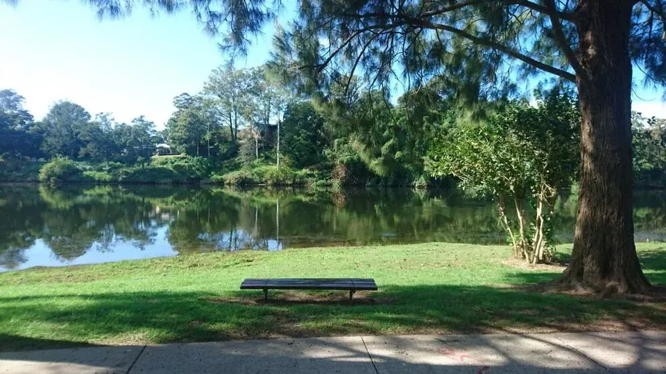 Park bench beside calm water beneath large shade trees
