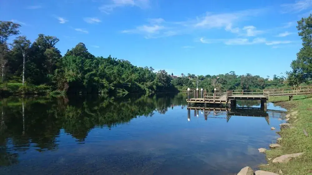 Calm river or lake with a small jetty and tree-lined bank